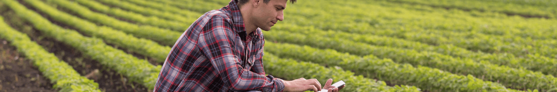 Farmer in field on phone Farmer in field on phone
