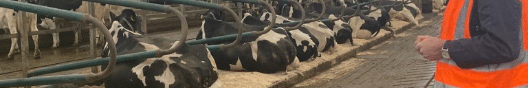 Environmentally Friendly beef Environmentally Friendly beef