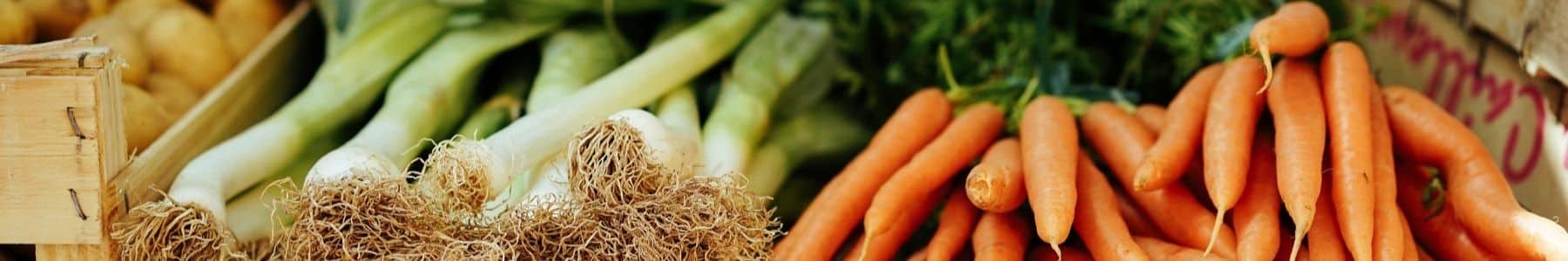 SEO - EAT the competition SEO - EAT the competition