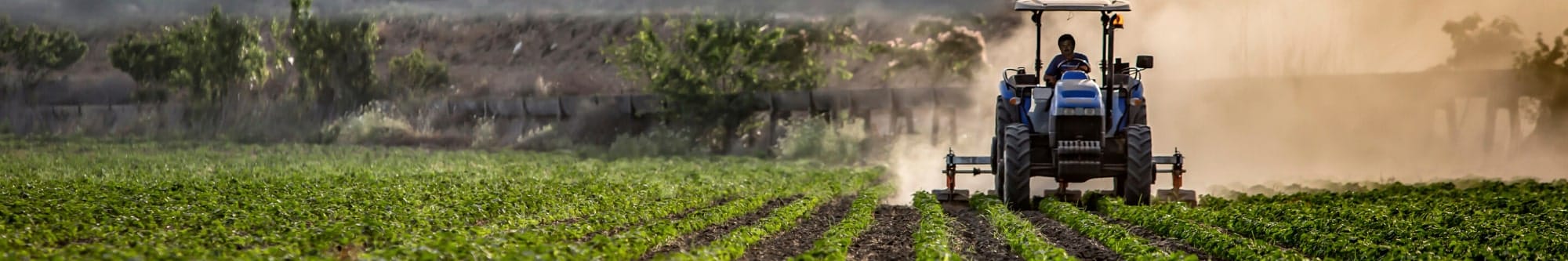 Farming banner Farming banner