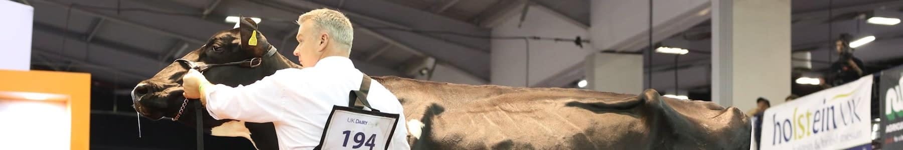 pinstone-uk-dairy-19-1 pinstone-uk-dairy-19-1