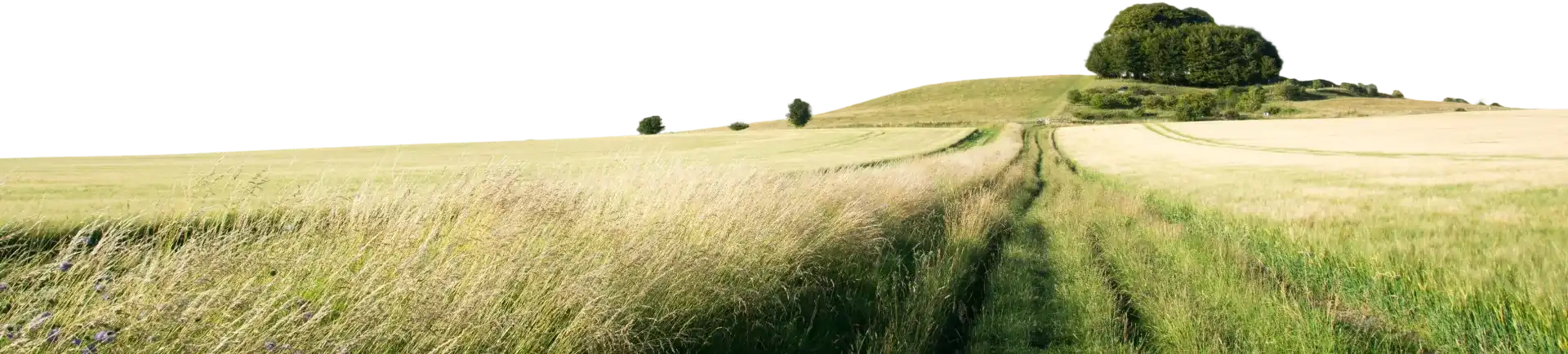 farming, food, environment pr