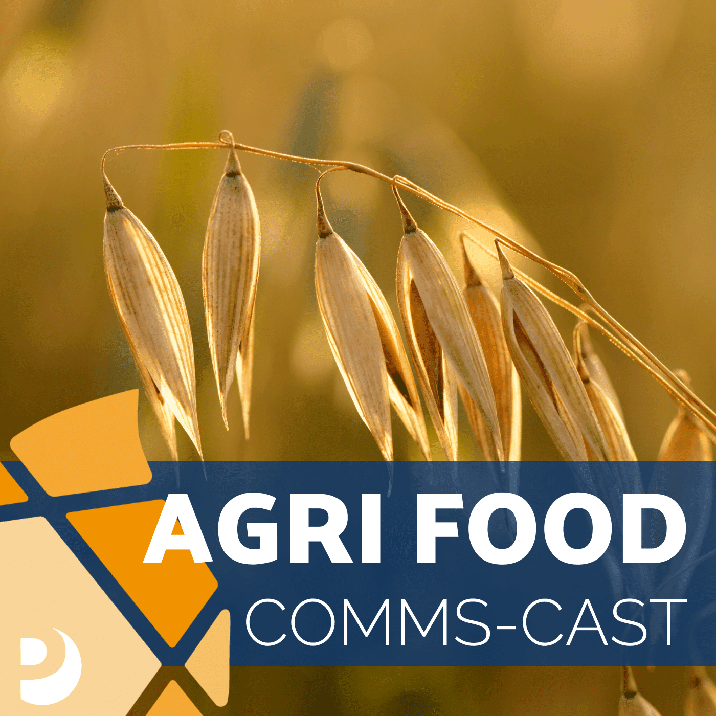 Agri Food Comms-Cast: Taking cereals to retail - it can be done!